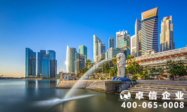 新加坡的公司結構有哪些類型？